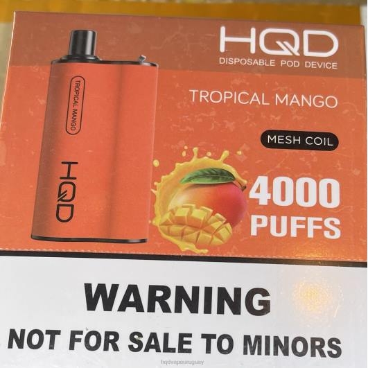 mango tropical